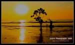IMG_2909-x