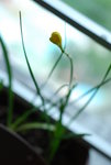 25 Sept 08