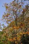 DSC_7973_nEO_IMG