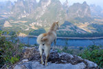 yangshuo1-12_nEO_IMG
