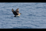 IMG_9509