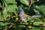 IMG_7535_3