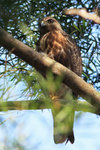 IMG_8990_1