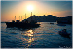 DSC02286