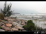 Tai O 2011