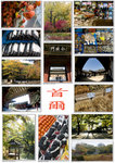 seoul 