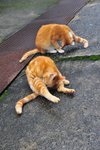 ���V 3-5-2008 DSC_1218