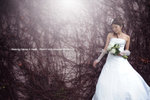 NEL_1739