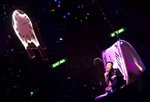 IMG_1083-1