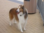 �q�W���p��. �����. 