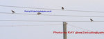 IMG_2216test 1