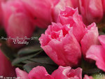 R3120395m_wt
