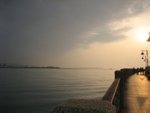 IMG_1981