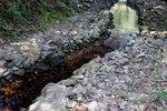 Small stream at Phoenix Garden 01