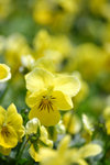 image0004