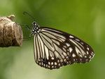 P9116456