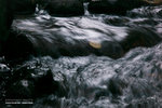 _MG_123629_2