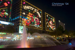 CRW_6731