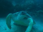 IMG_0599