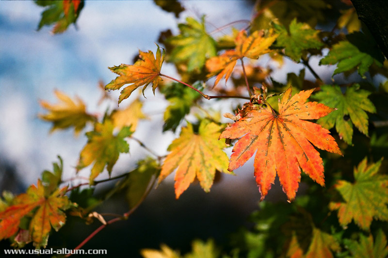 [Click for slideshow]