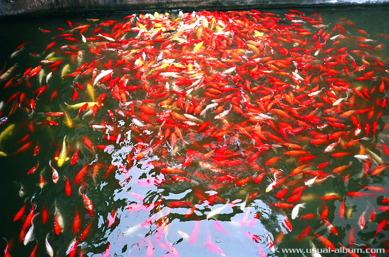 [Please click for slideshow]