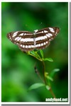 CRW_9517-1