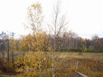DSC06349