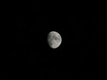 IMG_0620