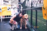 04_0229_dog_show_8