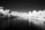 D50_2361s