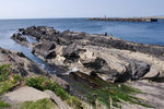 P1244581