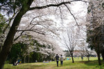 DSC00259