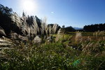 DSC00006