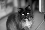 DSC05607a
