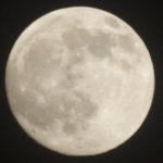 20080914_IMG_0776_crop(300x300)
