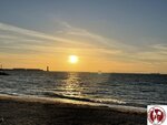 IMG_8599 (Copy)