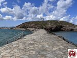 IMG_4703 (Copy)