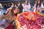 DSC09265-1 (複製)