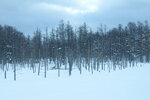 04022026_32 round to Hokkaido_Bieicho_Snowy Aoiike00009