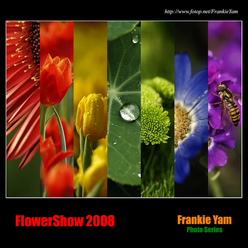 FlowerShow 2008