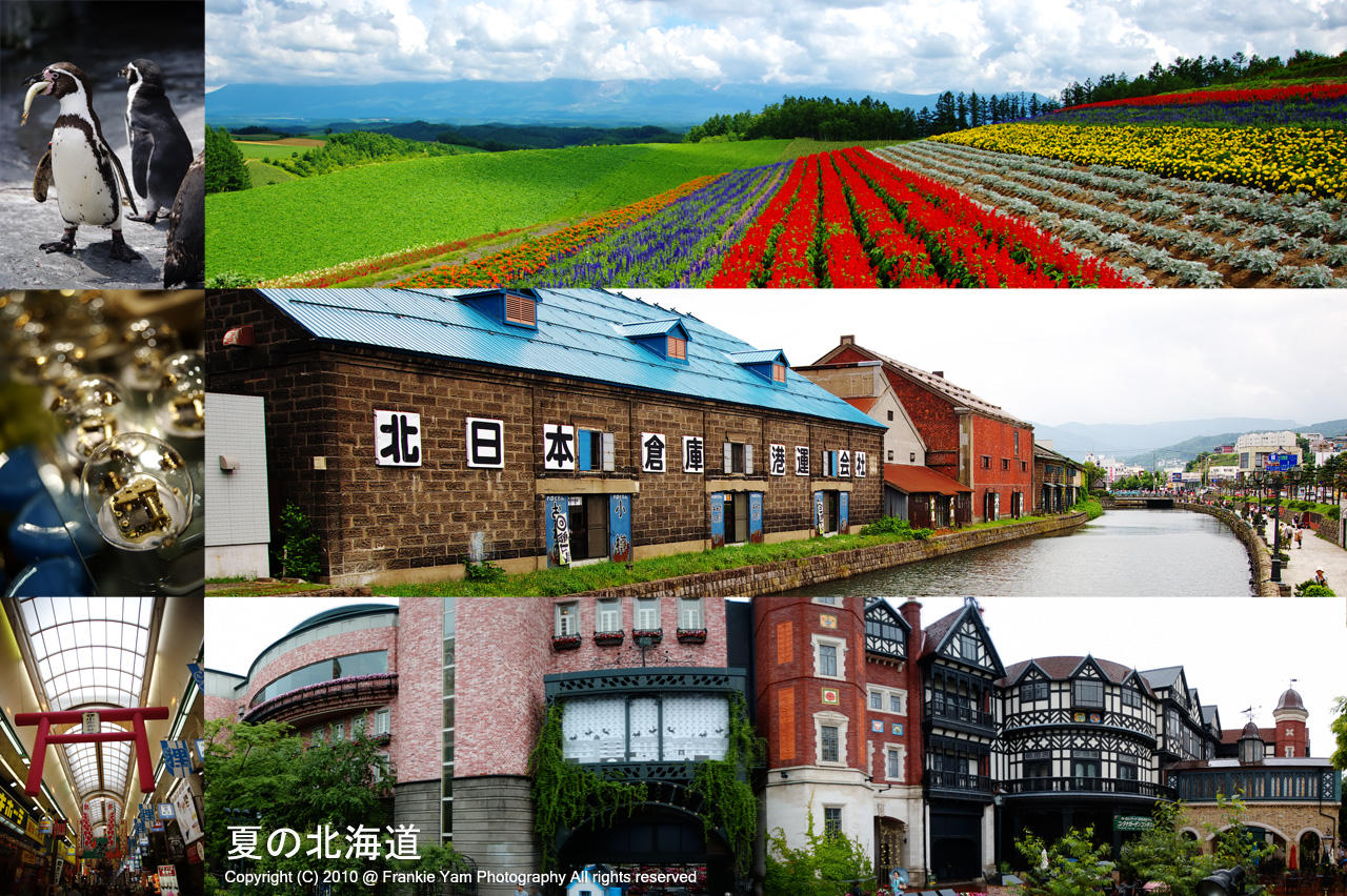 夏の北海道