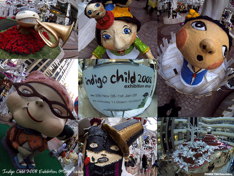 Indigo Child 2008 Exhibition