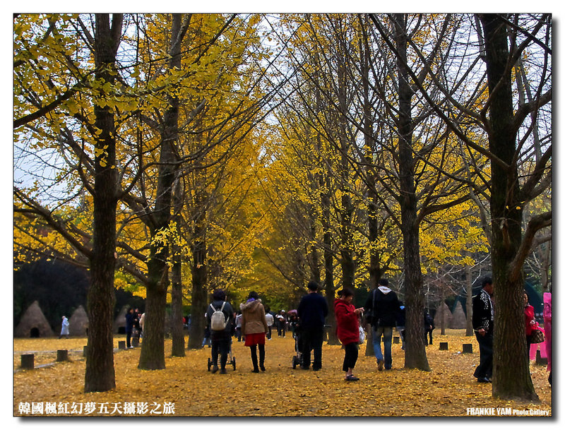 韓國楓紅幻夢五天攝影之旅 - 精選