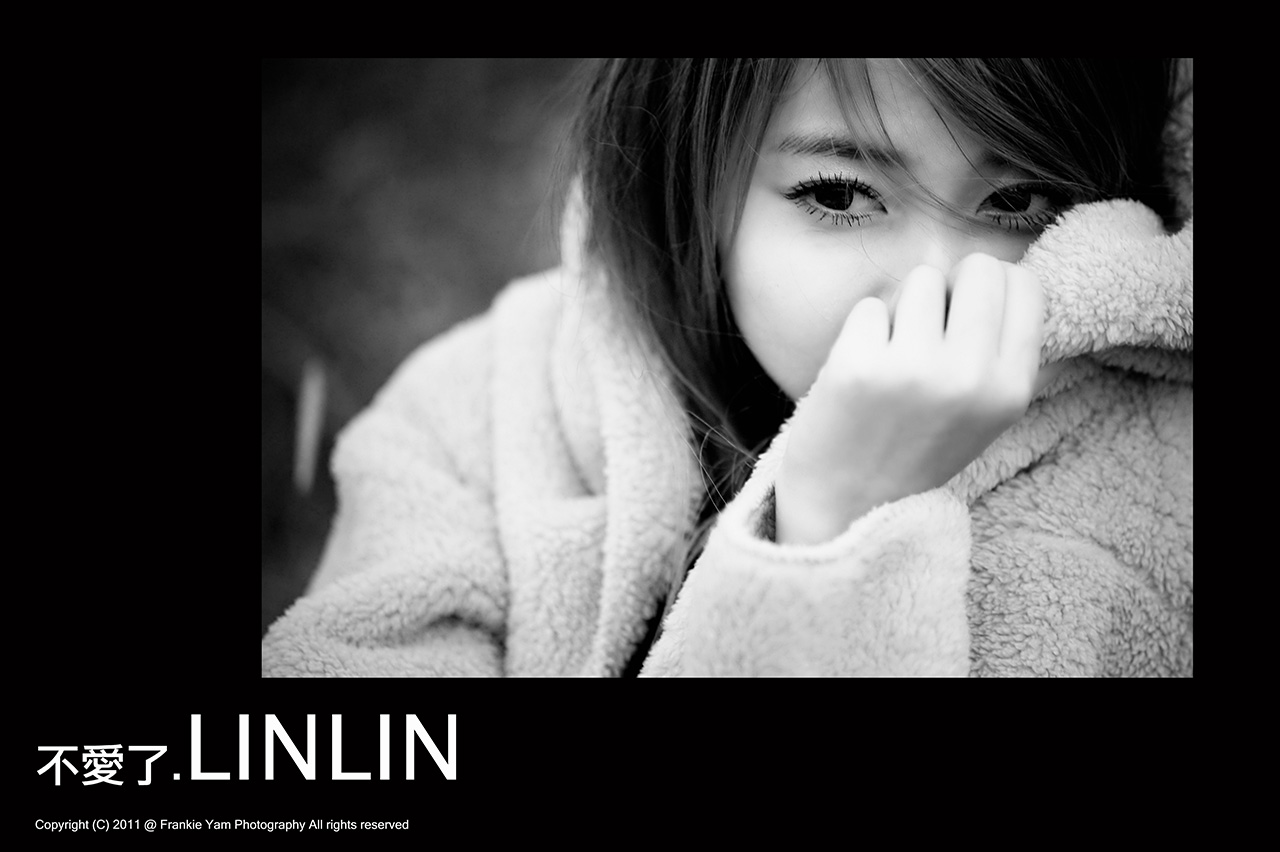 LINLIN - 不愛了