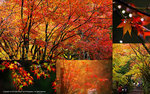 Cover_Nagahama