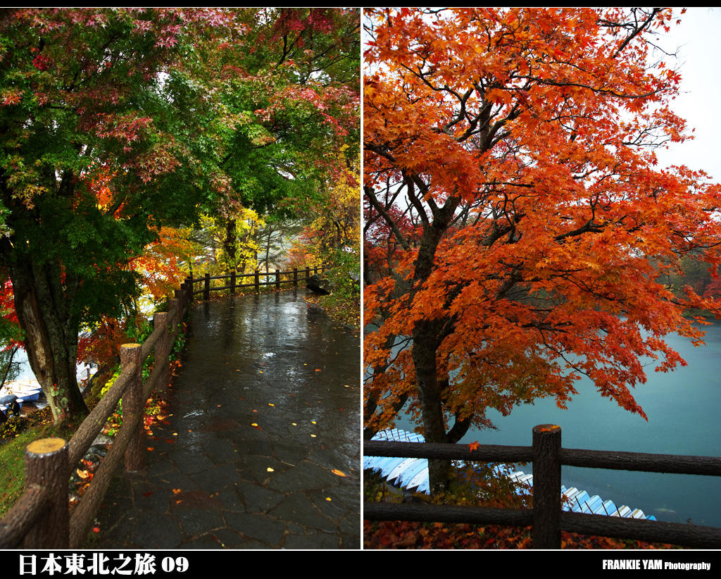 五色沼(日本九寨溝)