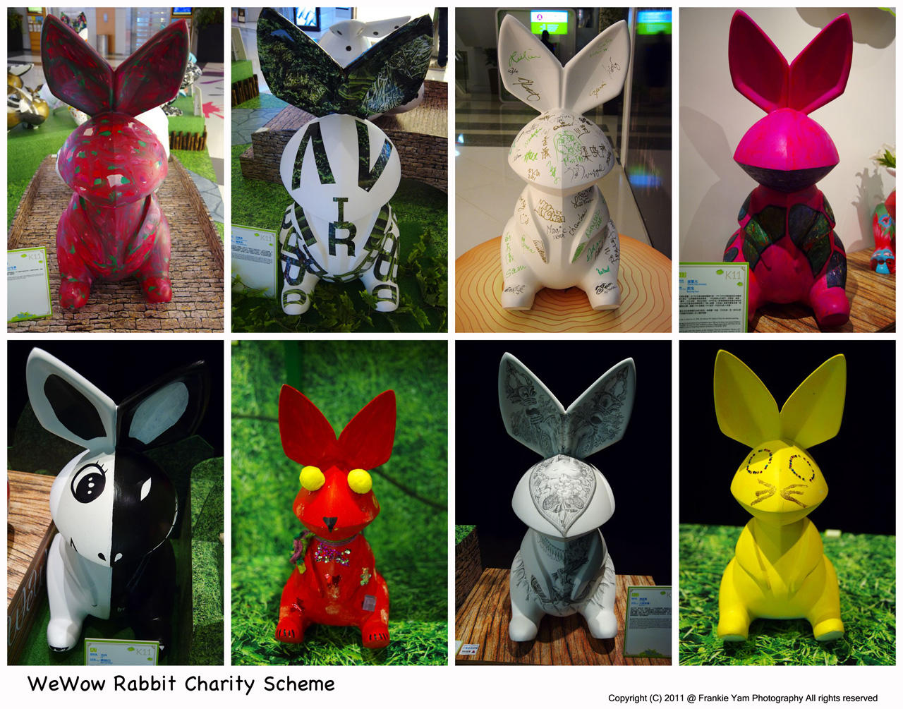 WeWow Rabbit Charity Scheme