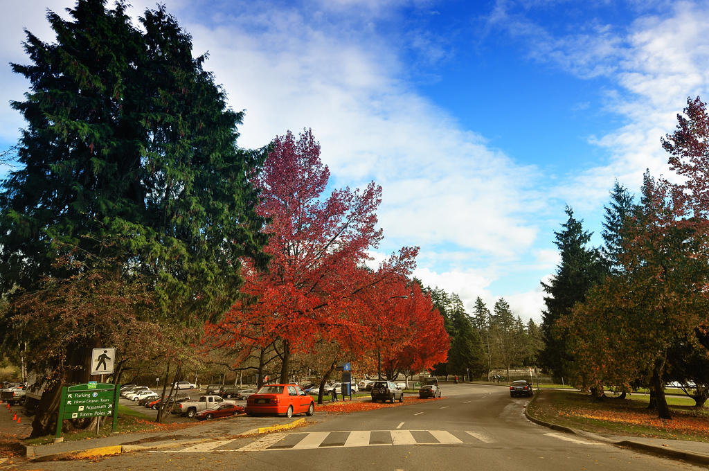 canada ~ stanley park in vancouver - 風景 - photog hk - powered