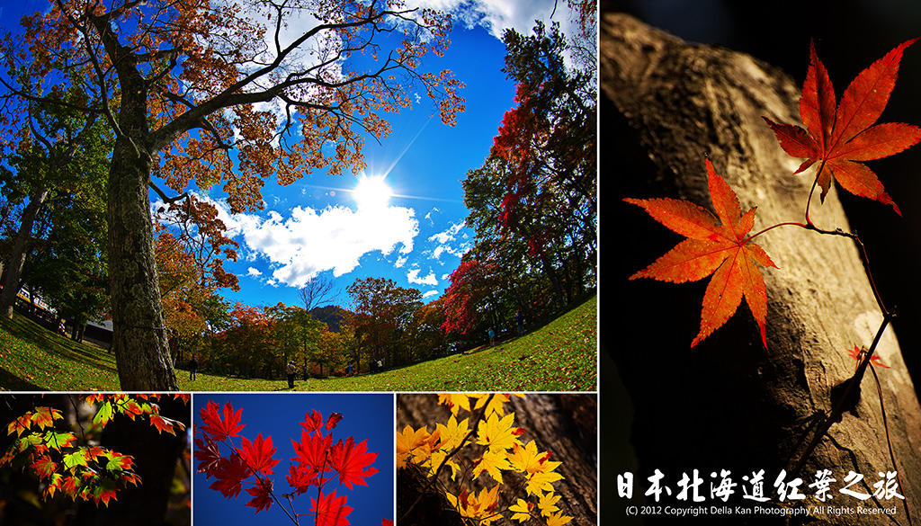 日本北海道楓葉之旅2012