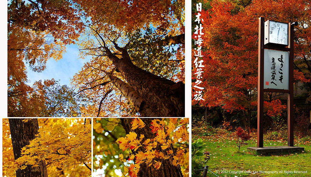 日本北海道楓葉之旅2012